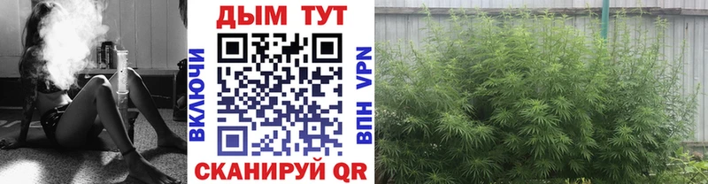 Купить наркотики Зеленогорск Cocaine  Мефедрон  ГАШИШ  Марихуана 