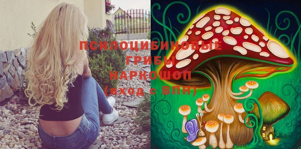 гидропоника Одинцово