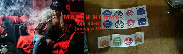 гидра Нязепетровск