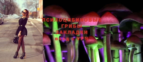 героин Няндома