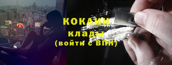 трава Новозыбков