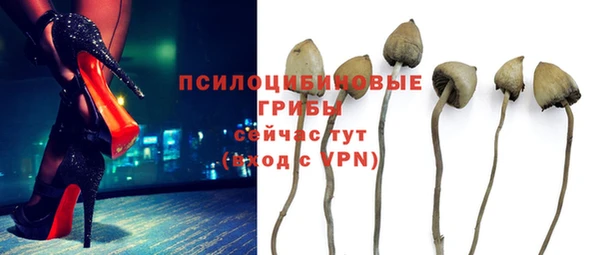 героин Няндома