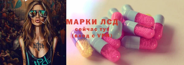 трава Новозыбков