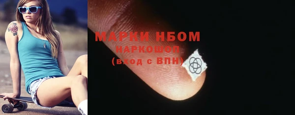 прущий лед Нея