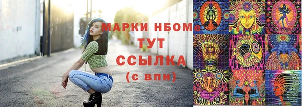 дмт Нягань
