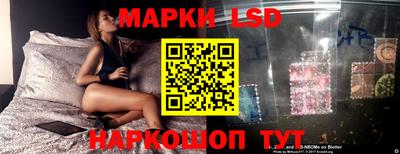 дмт Гай