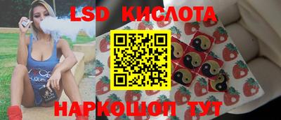 крисы Гагарин