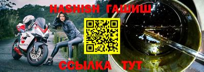 крисы Гагарин