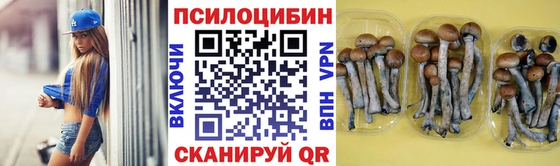 Псилоцибиновые грибы Psilocybine cubensis  блэк спрут как зайти  Зеленогорск 