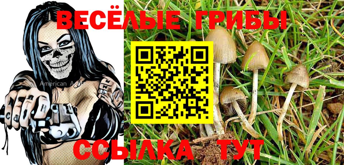 Галлюциногенные грибы MAGIC MUSHROOMS  где купить наркоту  Зеленогорск  Вход с VPN 