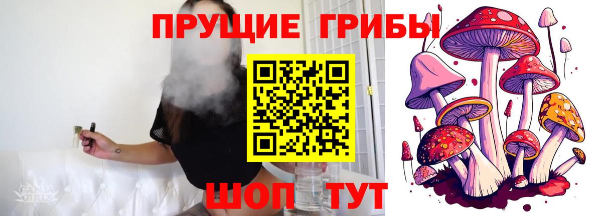 Галлюциногенные грибы Magic Shrooms  Зеленогорск  Галлюциногенные грибы GOLDEN TEACHER 