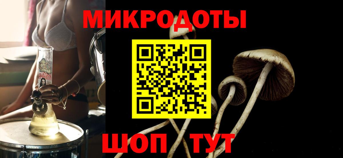 Псилоцибиновые грибы мицелий Зеленогорск